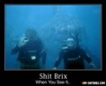 /album/imagens-dm/divers-16395-jpg/
